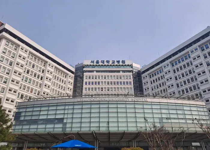 Willa Damon Seul